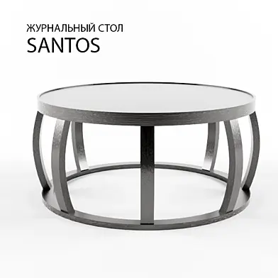 DG Home, Santos