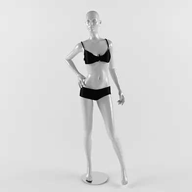 Lingerie Fashion Model