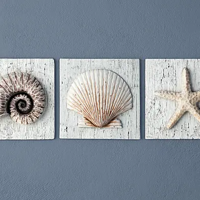 Nautilus, Seashell, Starfish Plaques