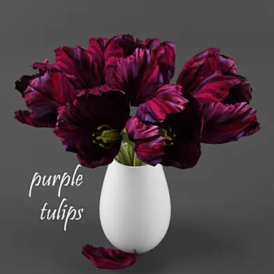 purple tulips