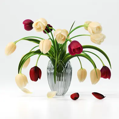 TULIP 1