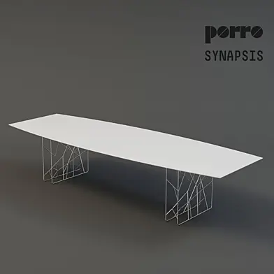 porro synapsis
