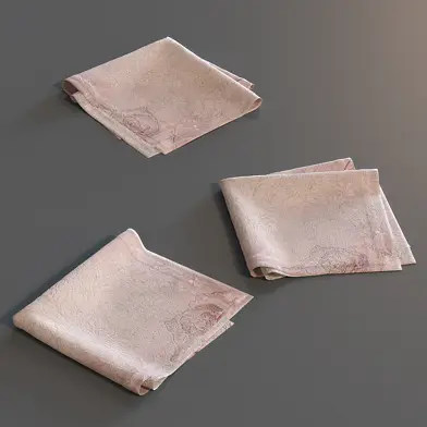 napkin