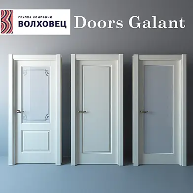 Дверь Galant Волховец