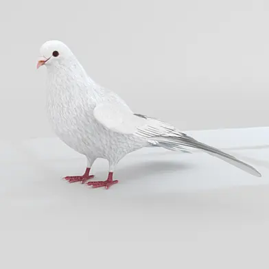 Голубь