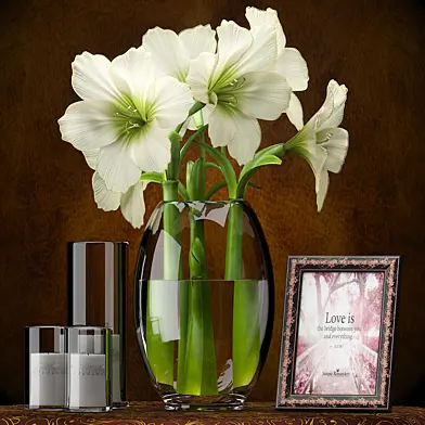LIGHT YELLOW AMARYLLIS