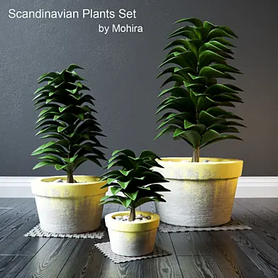 Plants Set