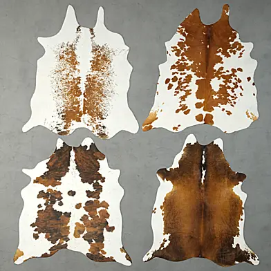 Rugs
