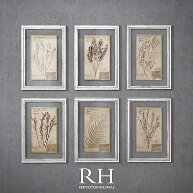 RH - 19th C. Framed Herbariums
