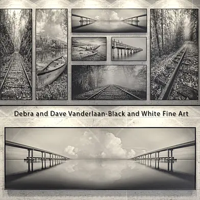 Debra and Dave Vanderlaan "Black and White Fine Art"
