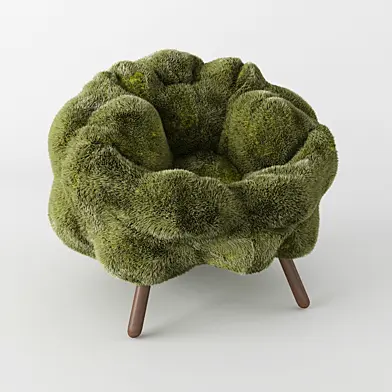 Fernando and Humberto Campana chair