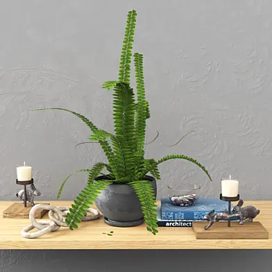 Декоративный набор, Potterybarn