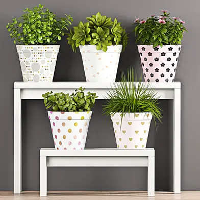 PLANT SET - 68