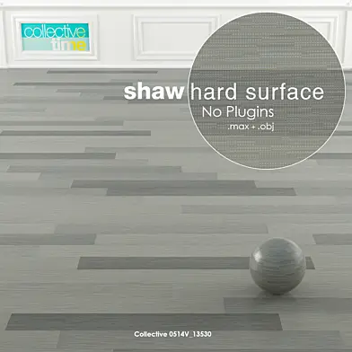 Shaw Hard Surface Collective Time Vinyl Floor 2