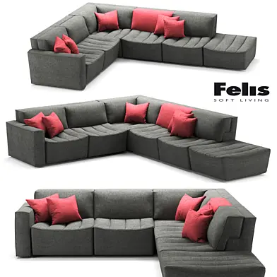 Felis Cozy
