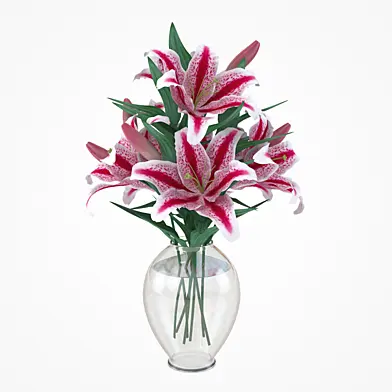 Lily
