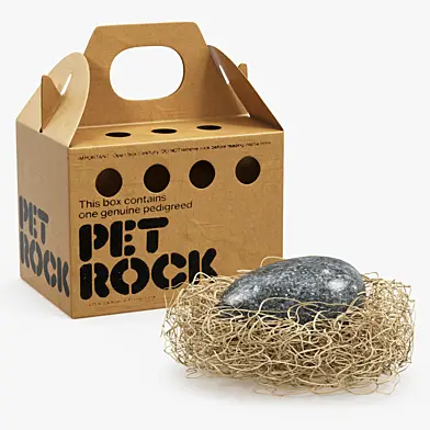 Pet rock