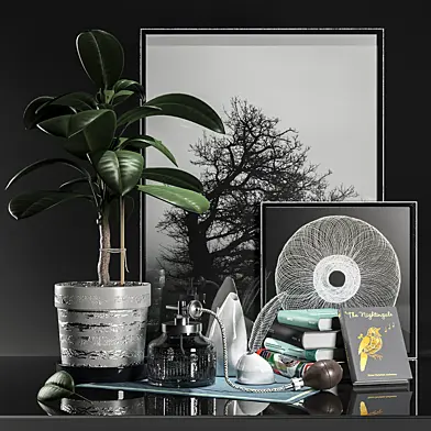 DECORATION SET WITH FIKUS