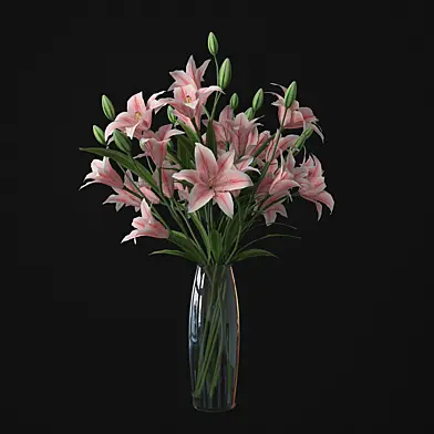 Lily 01