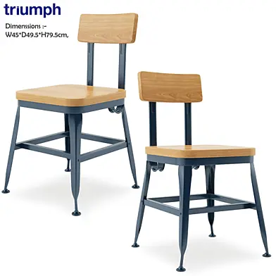 Triumph- Vintage Lyon Powder coated Dining Chair