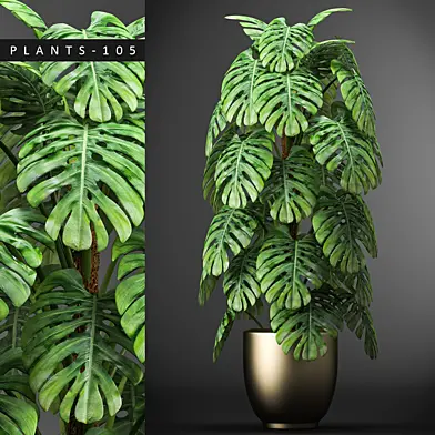 PLANTS 105