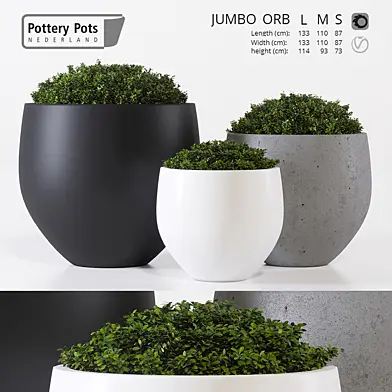 Potterypots one