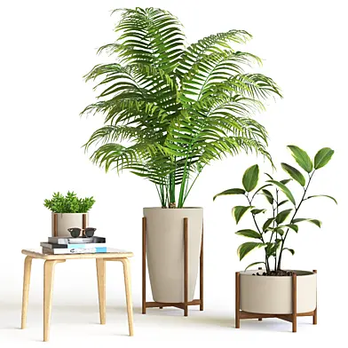 Plant set