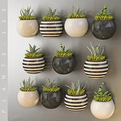 PLANTS 135