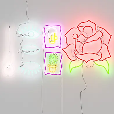 Wall Neon Lamps