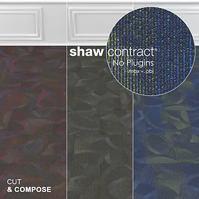 Shaw Carpet Cut Compose Rotate No: 2