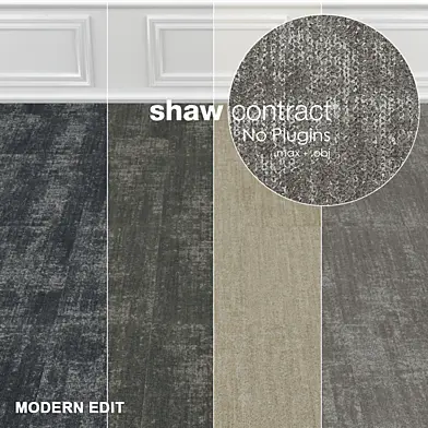 Shaw Carpet Intricate Wall to Wall Floor No 1
