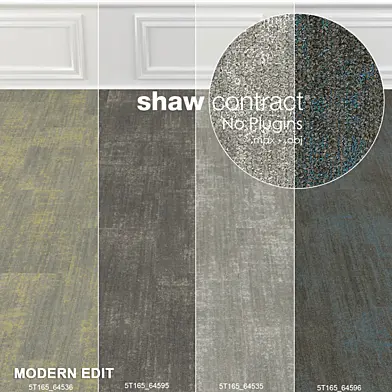 Shaw Carpet Intricate Wall to Wall Floor No 3