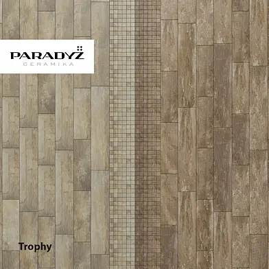 Плитка Paradyz Trophy
