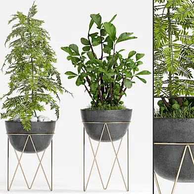 PLANT SET -85