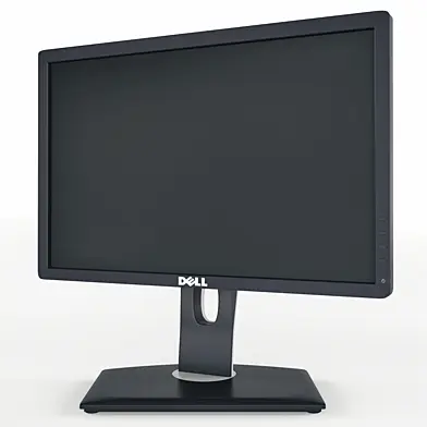 Dell Professional P1913