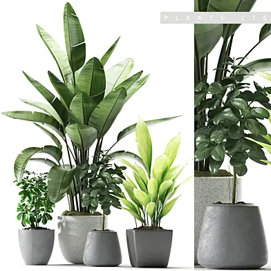 Plants 176