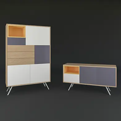 BERN CABINET