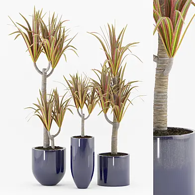 Plant 52