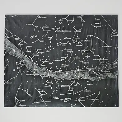 Starry Night Grand Canvas Wall Tapestry RH Baby
