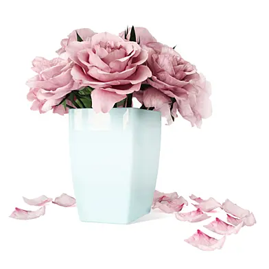 Roses of pastel color