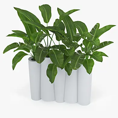 BAMBOO by Slide banana