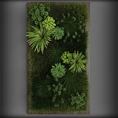 Vertical gardening 02