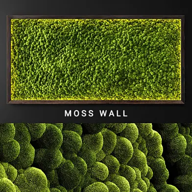 Moss wall 2