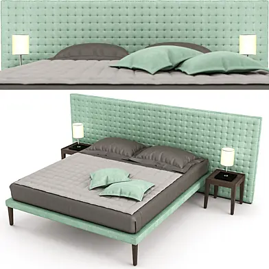 EBRIDI bed
