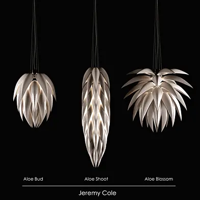 Jeremy Cole, Aloe Bud, Aloe Shoot, Aloe Blossom