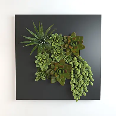 fitowall 01