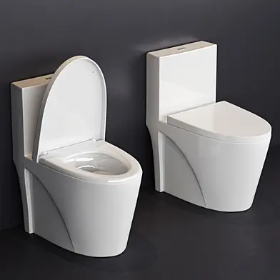 Buxton toilet