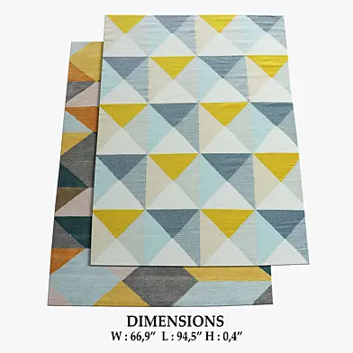 ALLMODERN Rugs_255
