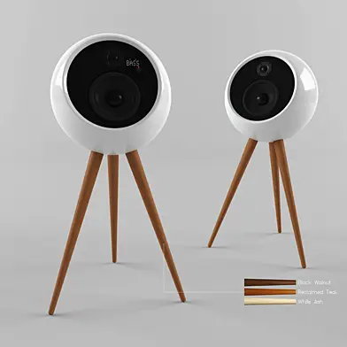 wireless speaker