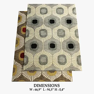 ALLMODERN Rugs_285